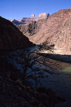Colorado river, after dynamic range reduction