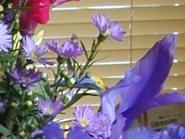 Flowers, before Safe Sharpen